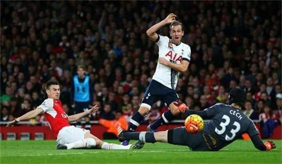 杉矶的重要 杉矶的重要